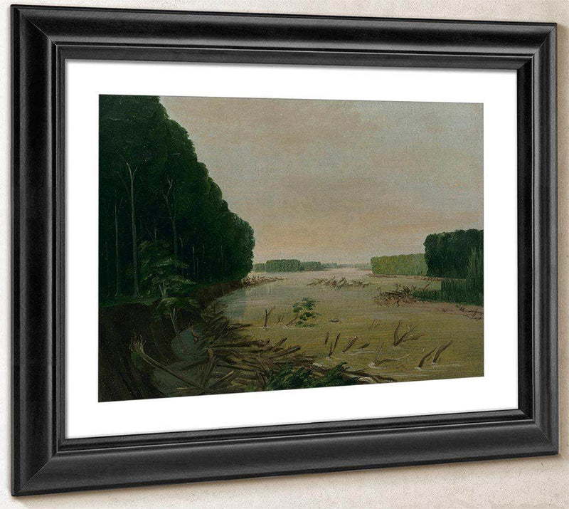 View On The Missouri, Alluvial Banks Falling In, 600 Miles Above St. Louis By George Catlin Fine Art Print