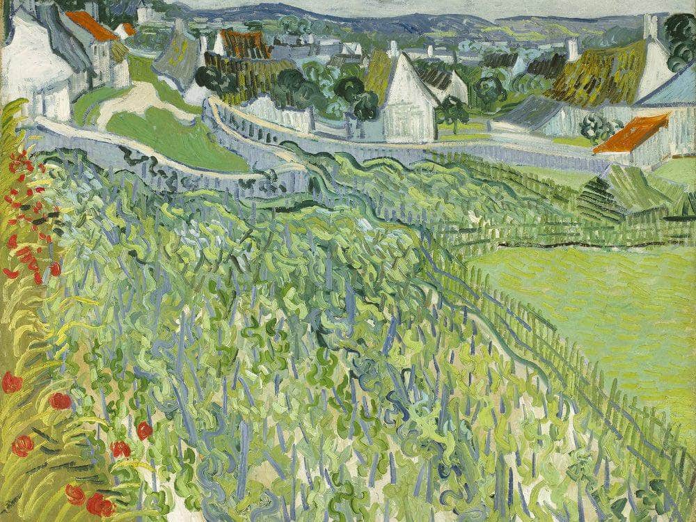 Vineyards At Auvers 3 By Vincent Van Gogh Fine Art Print