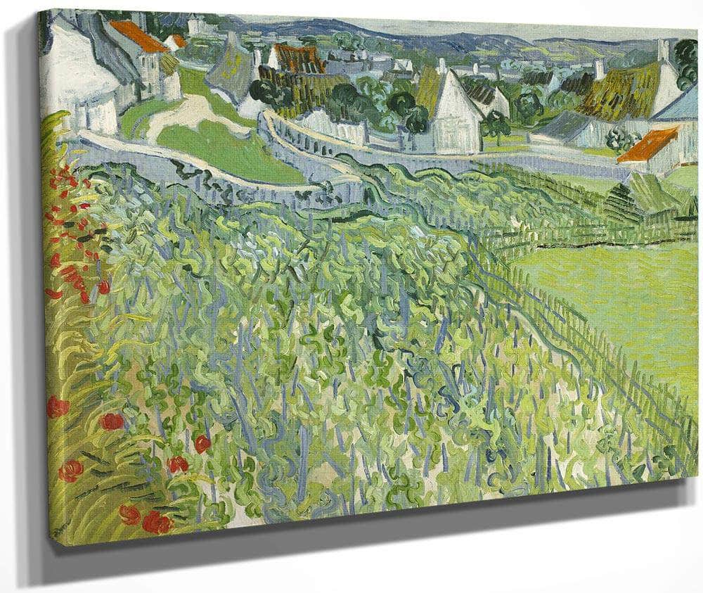 Vineyards At Auvers 3 By Vincent Van Gogh Fine Art Print
