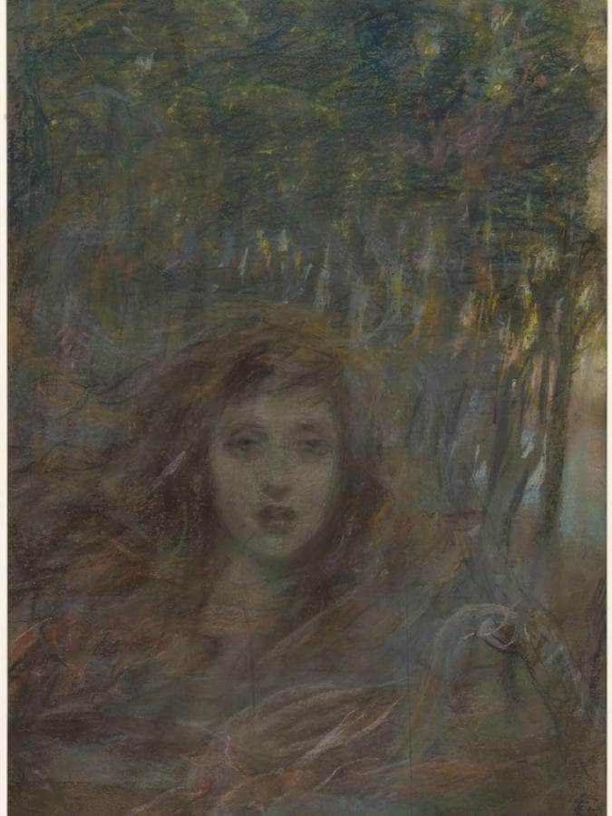 Vision Through Woods By Alice Pike Barney Fine Art Print