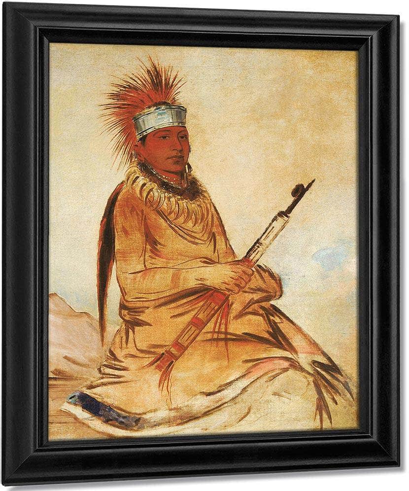 W'y Ee Yogh, Man Of Sense, A Brave By George Catlin Fine Art Print