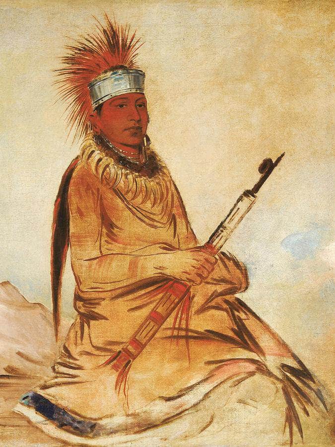 W'y Ee Yogh, Man Of Sense, A Brave By George Catlin Fine Art Print