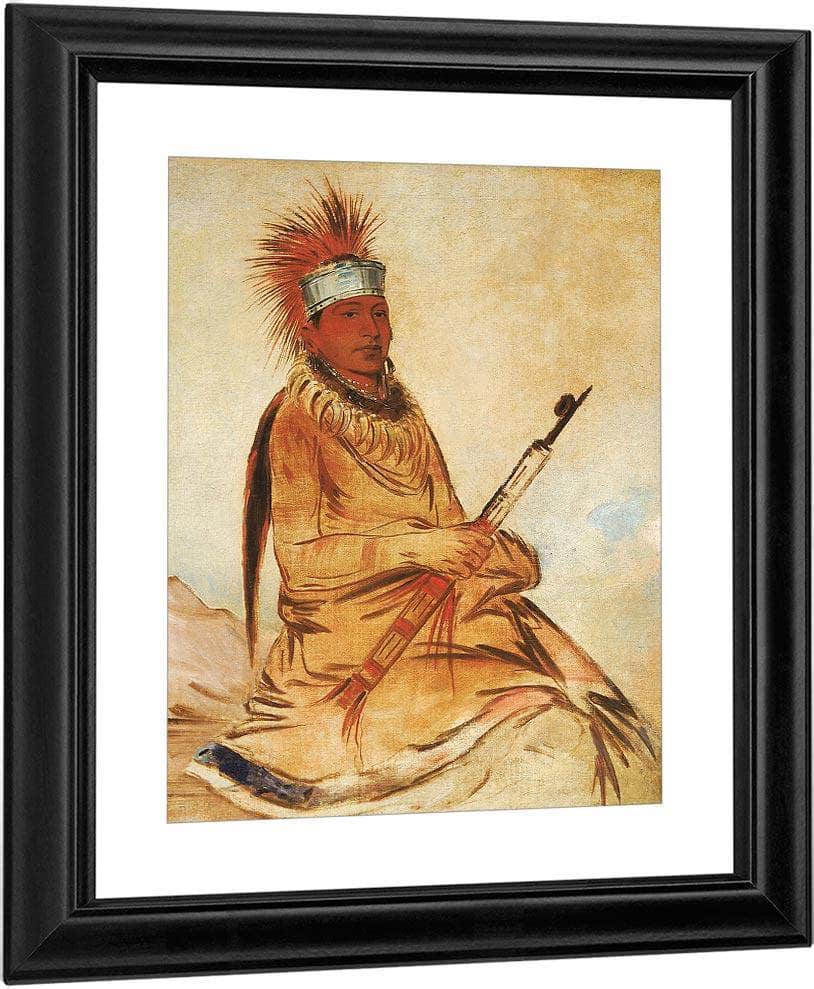 W'y Ee Yogh, Man Of Sense, A Brave By George Catlin Fine Art Print