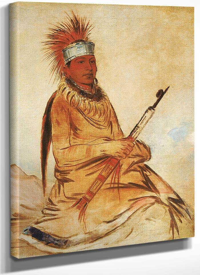 W'y Ee Yogh, Man Of Sense, A Brave By George Catlin Fine Art Print