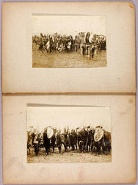 War Dance, Study Folder For Book Concealing Coloration In The Animal Kingdom By Abbott Handerson Thayer Fine Art Print