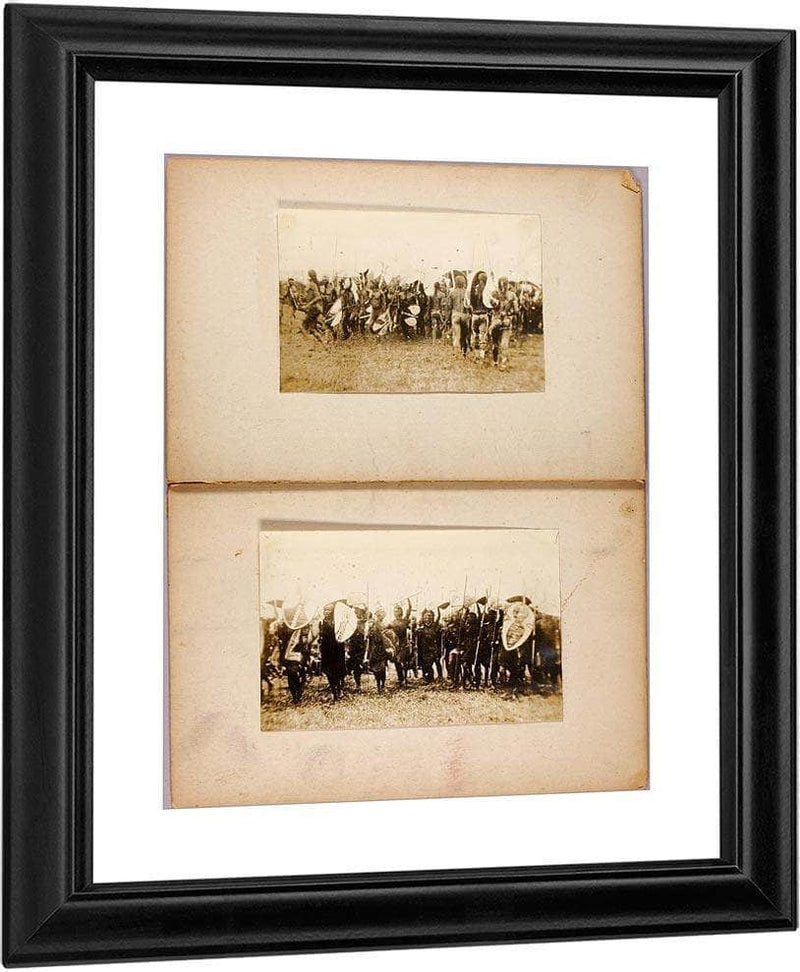 War Dance, Study Folder For Book Concealing Coloration In The Animal Kingdom By Abbott Handerson Thayer Fine Art Print