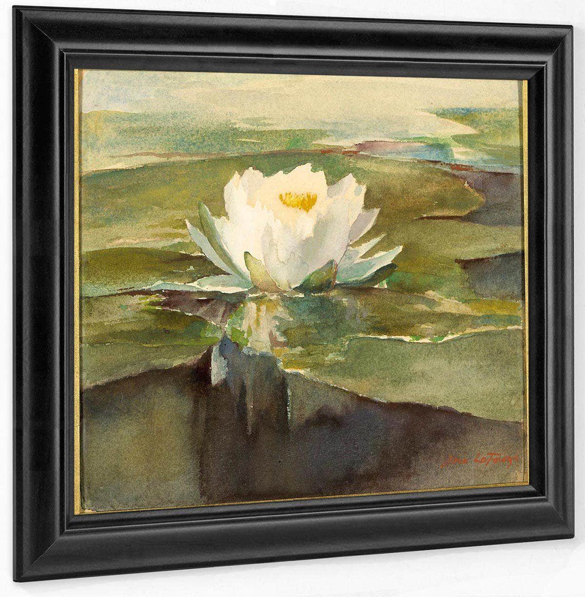 Water Lily In Sunlight By John La Farge Fine Art Print