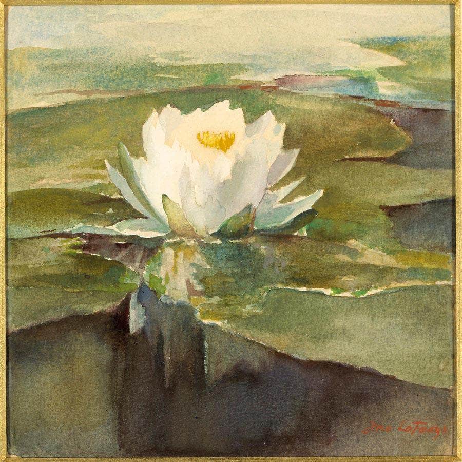 Water Lily In Sunlight By John La Farge Fine Art Print