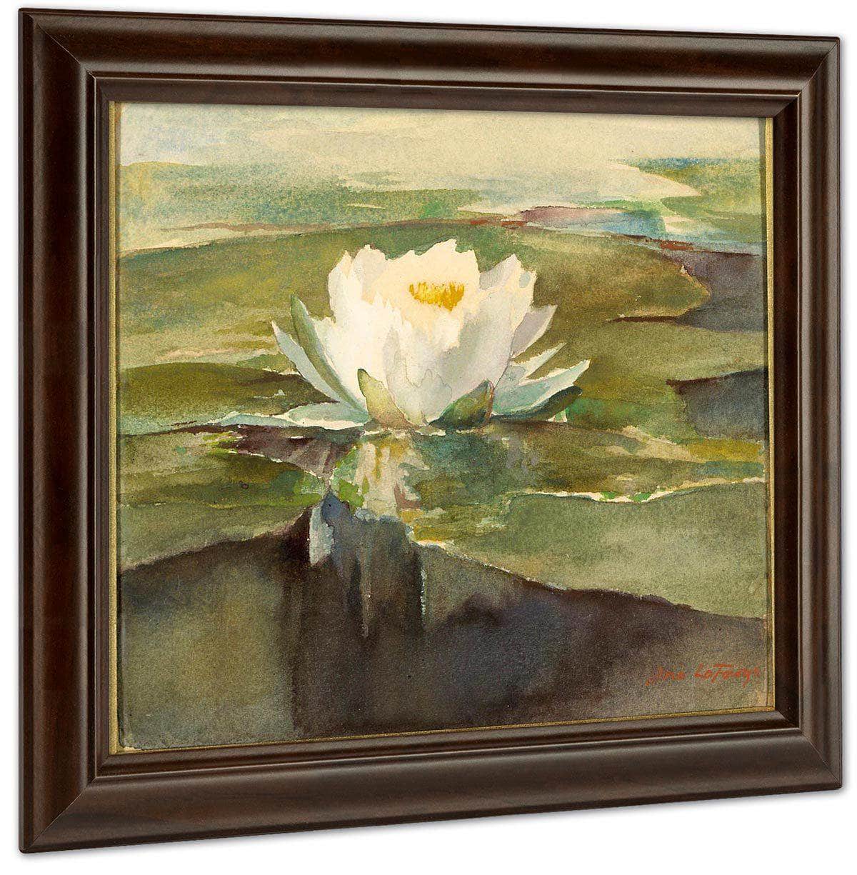 Water Lily In Sunlight By John La Farge Fine Art Print