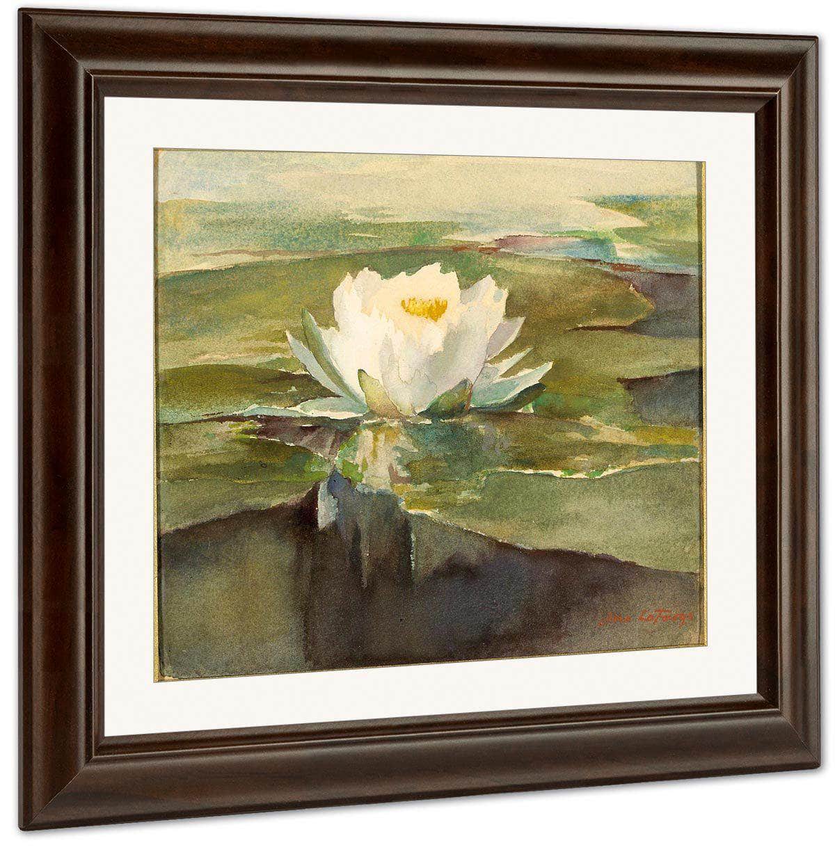 Water Lily In Sunlight By John La Farge Fine Art Print
