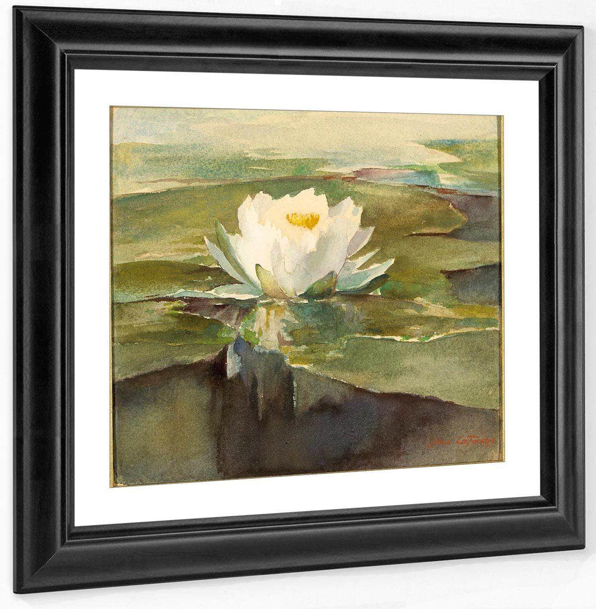 Water Lily In Sunlight By John La Farge Fine Art Print