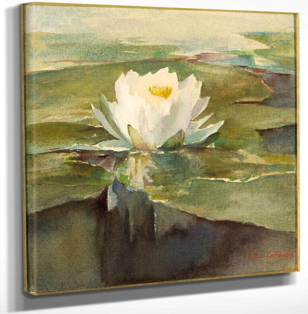 Water Lily In Sunlight By John La Farge Fine Art Print