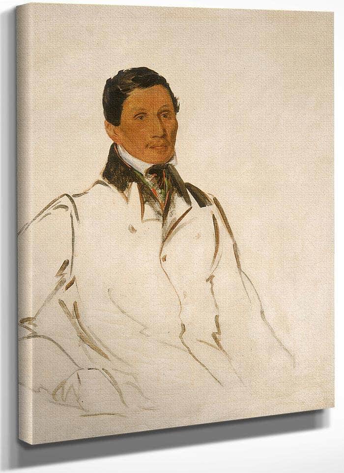 Waun Naw Con, The Dish (John W. Quinney), A Missionary Preacher By George Catlin Fine Art Print