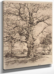 Wayside Inn Oaks In Spring By Childe Hassam Fine Art Print