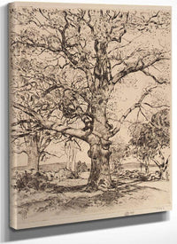 Wayside Inn Oaks In Spring By Childe Hassam Fine Art Print