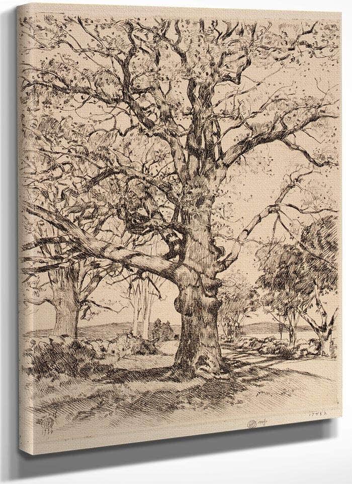 Wayside Inn Oaks In Spring By Childe Hassam Fine Art Print