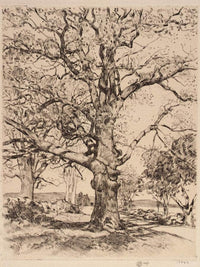 Wayside Inn Oaks In Spring By Childe Hassam Fine Art Print