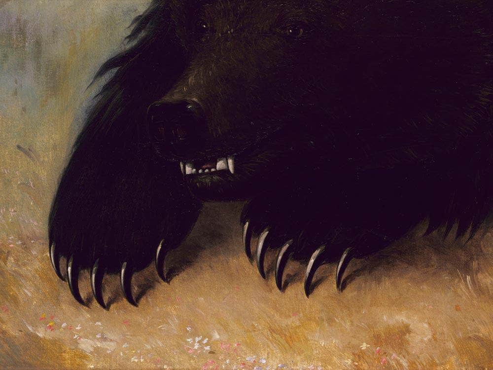 Weapons And Physiognomy Of The Grizzly Bear By George Catlin Fine Art Print