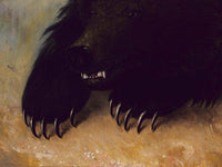Weapons And Physiognomy Of The Grizzly Bear By George Catlin Fine Art Print