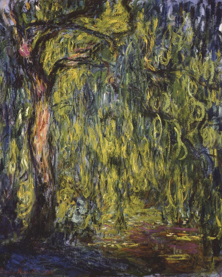 Weeping Willow 4 By Claude Monet Fine Art Print
