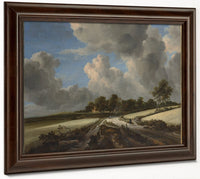 Wheat Fields By Jacob Van Rusdael Fine Art Print
