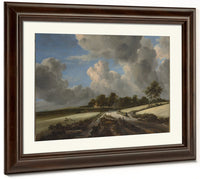 Wheat Fields By Jacob Van Rusdael Fine Art Print