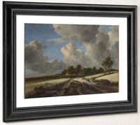 Wheat Fields By Jacob Van Rusdael Fine Art Print