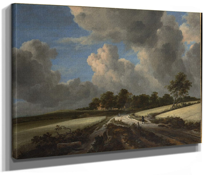 Wheat Fields By Jacob Van Rusdael Fine Art Print