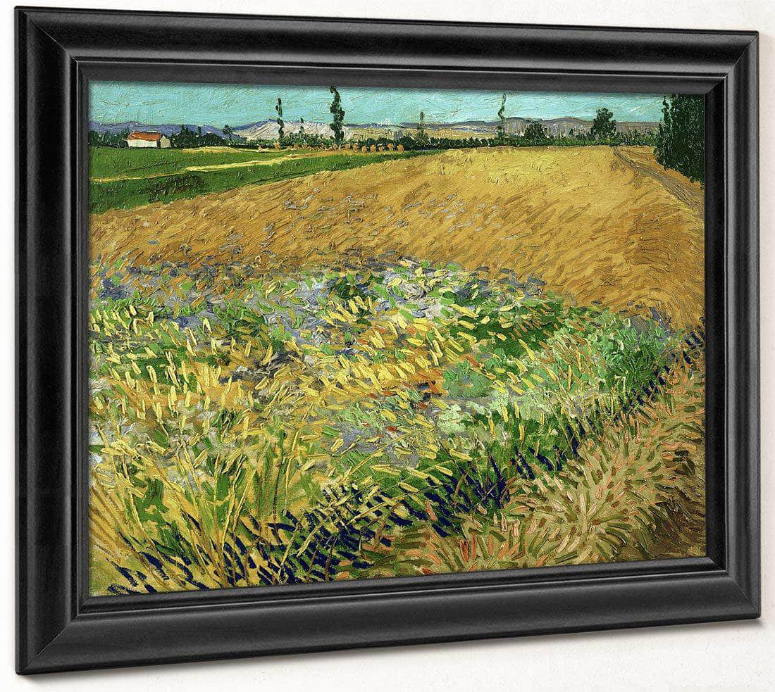 Wheatfield 2 By Vincent Van Gogh Fine Art Print