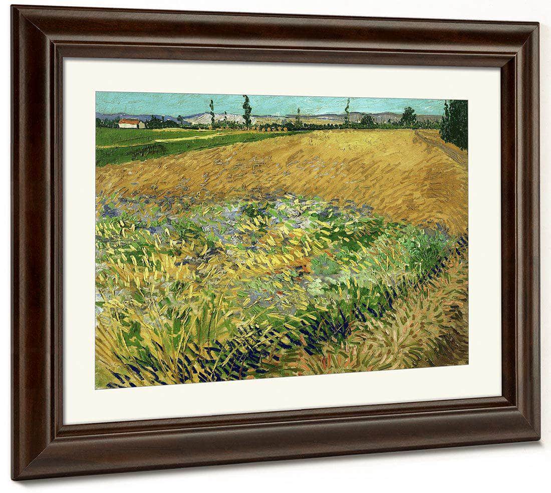 Wheatfield 2 By Vincent Van Gogh Fine Art Print