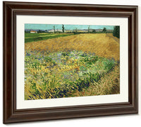 Wheatfield 2 By Vincent Van Gogh Fine Art Print