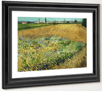 Wheatfield 2 By Vincent Van Gogh Fine Art Print