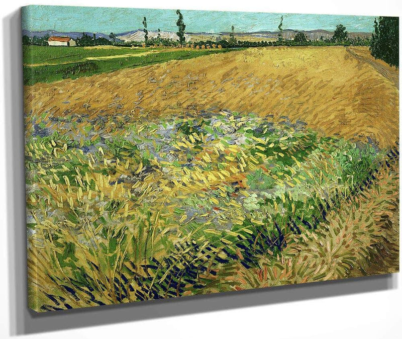 Wheatfield 2 By Vincent Van Gogh Fine Art Print