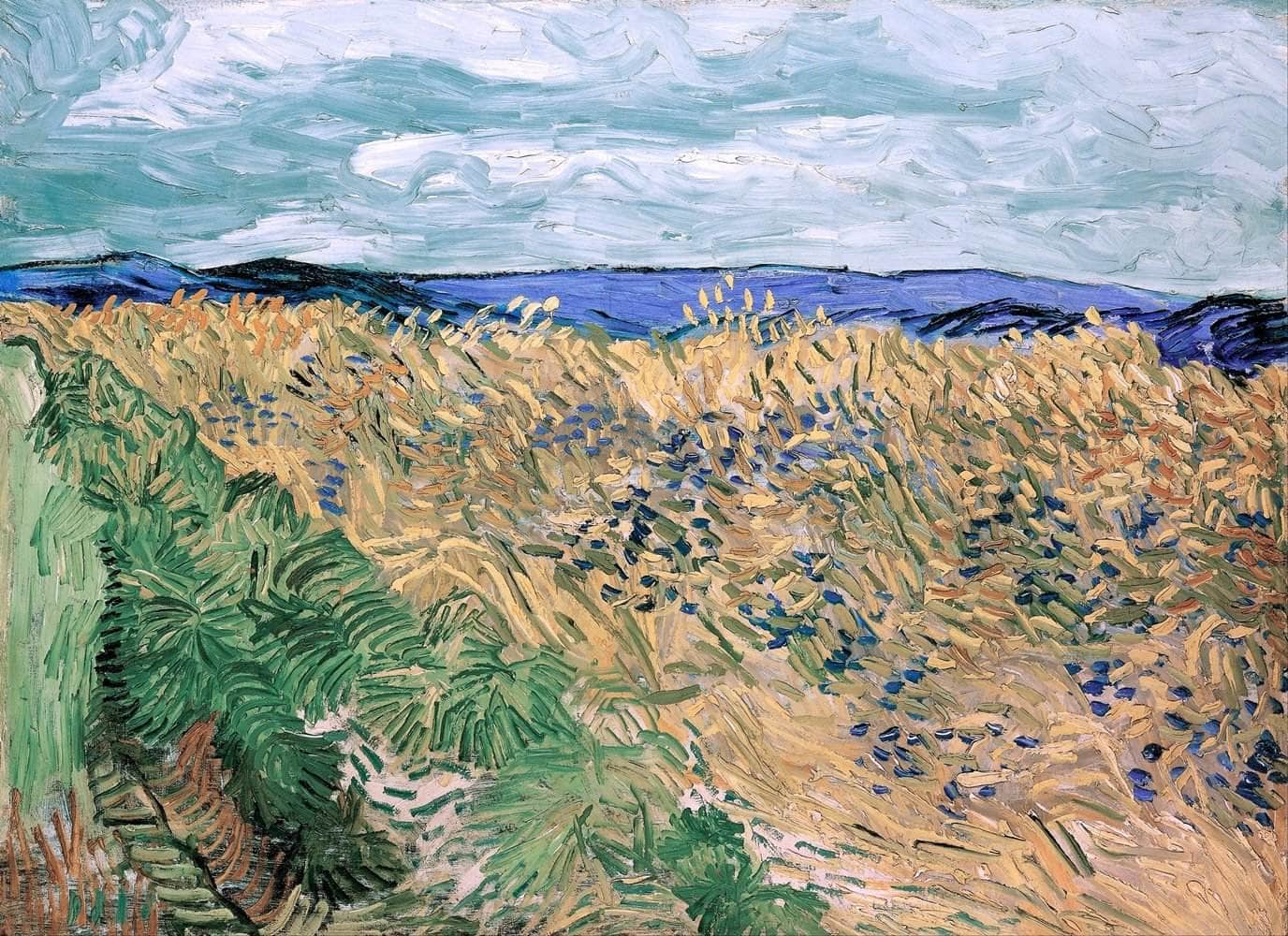 Wheatfield With Cornflowers Painting Vincent Van Gogh Canvas Art Fine Art Print