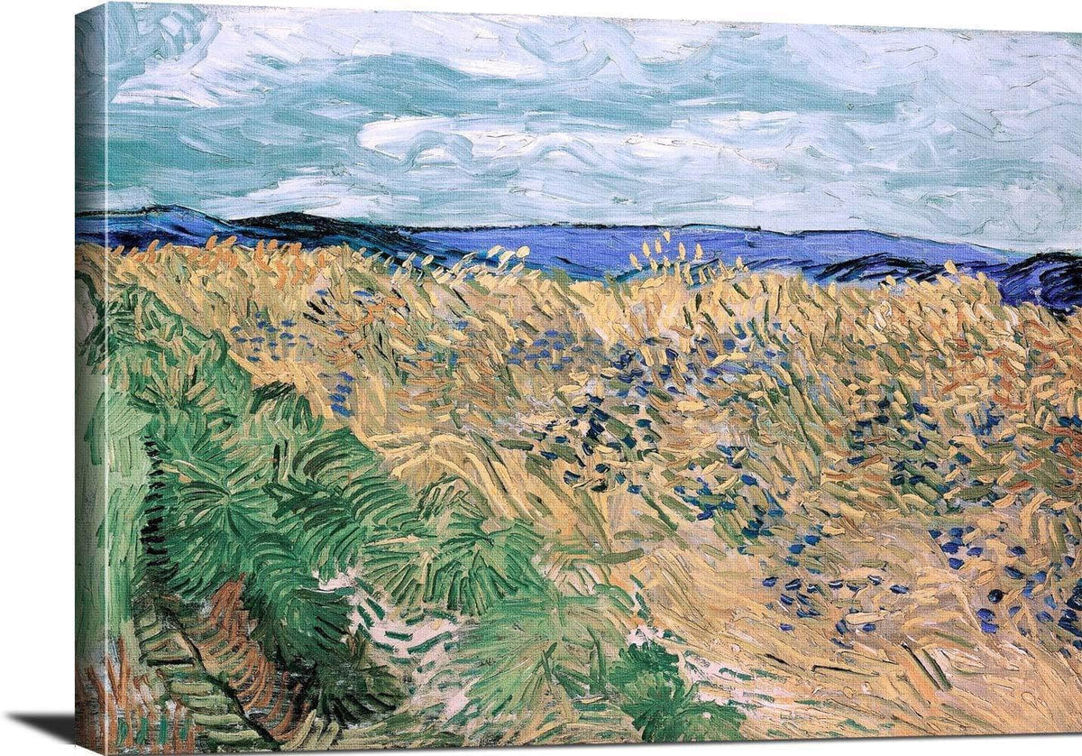 Wheatfield With Cornflowers Painting Vincent Van Gogh Canvas Art Fine Art Print