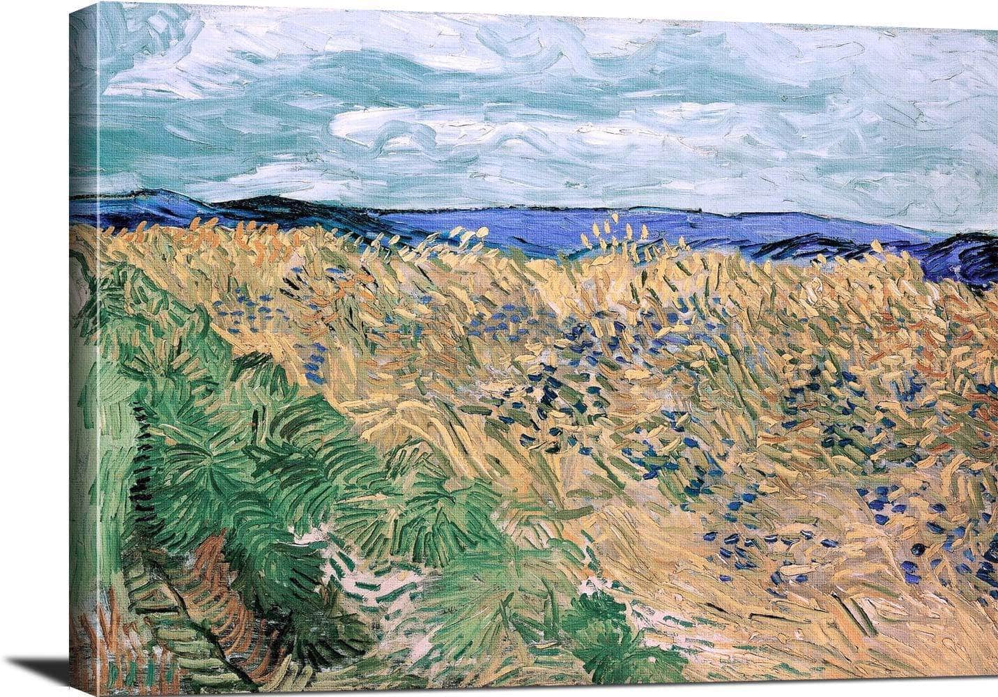 Wheatfield With Cornflowers Painting Vincent Van Gogh Canvas Art Fine Art Print