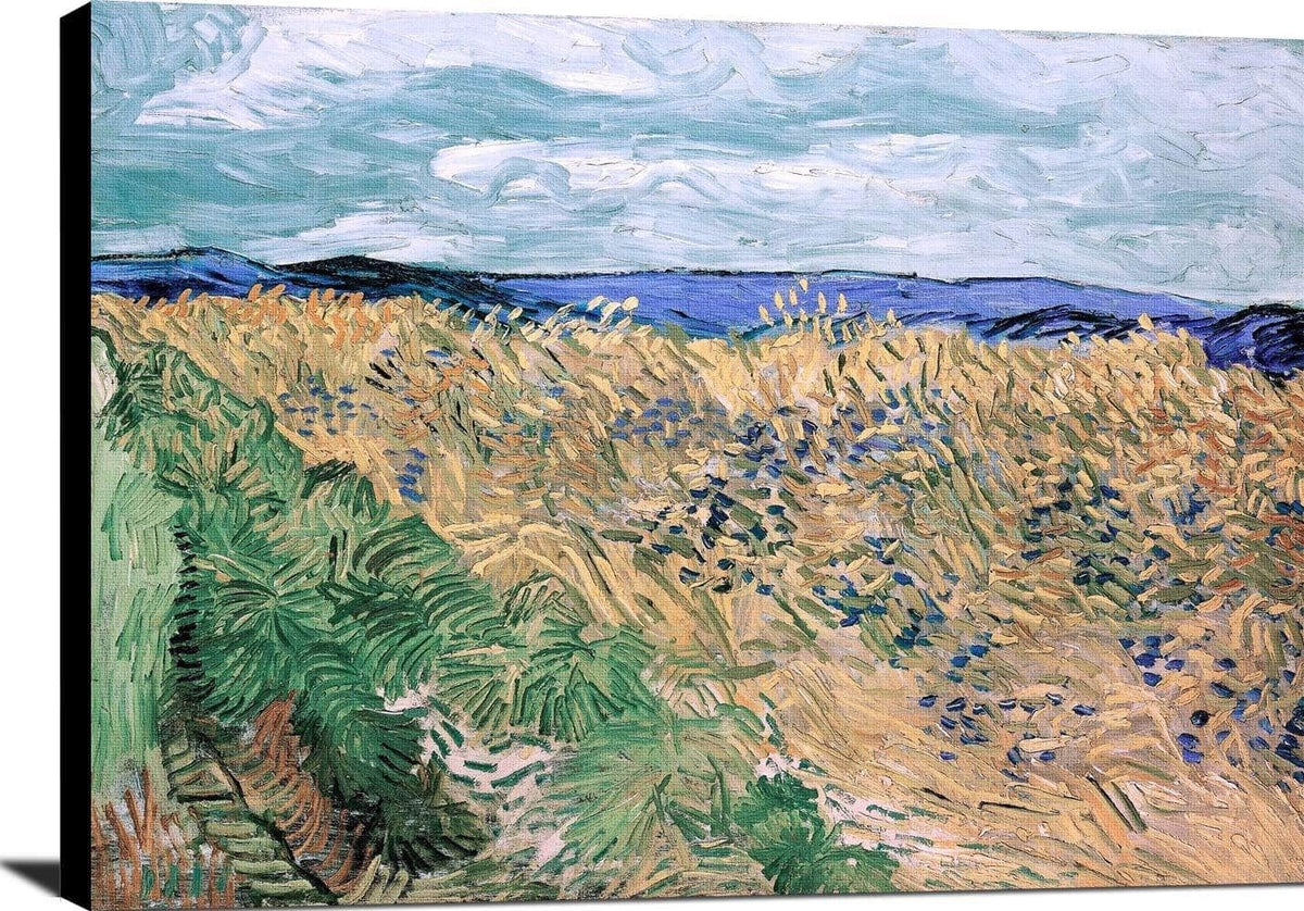 Wheatfield With Cornflowers Painting Vincent Van Gogh Canvas Art Fine Art Print