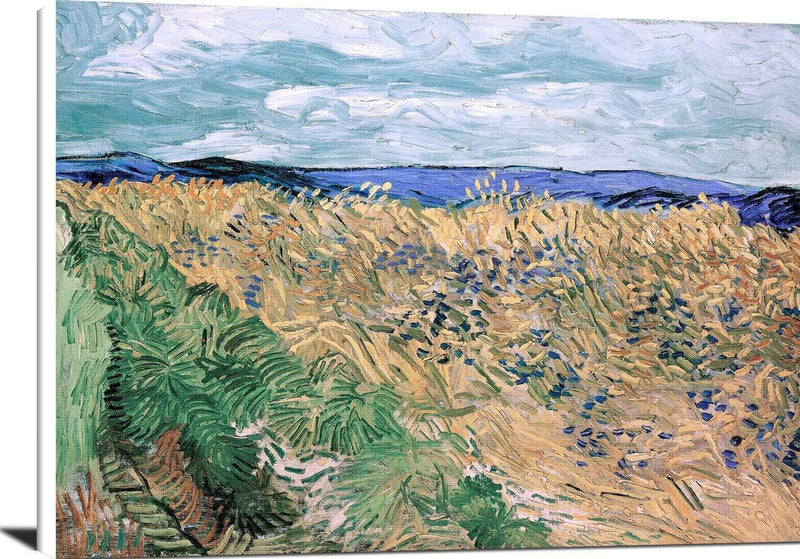 Wheatfield With Cornflowers Painting Vincent Van Gogh Canvas Art Fine Art Print