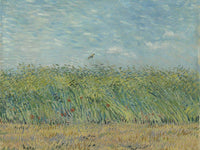 Wheatfield With Partridge 2 By Vincent Van Gogh Fine Art Print