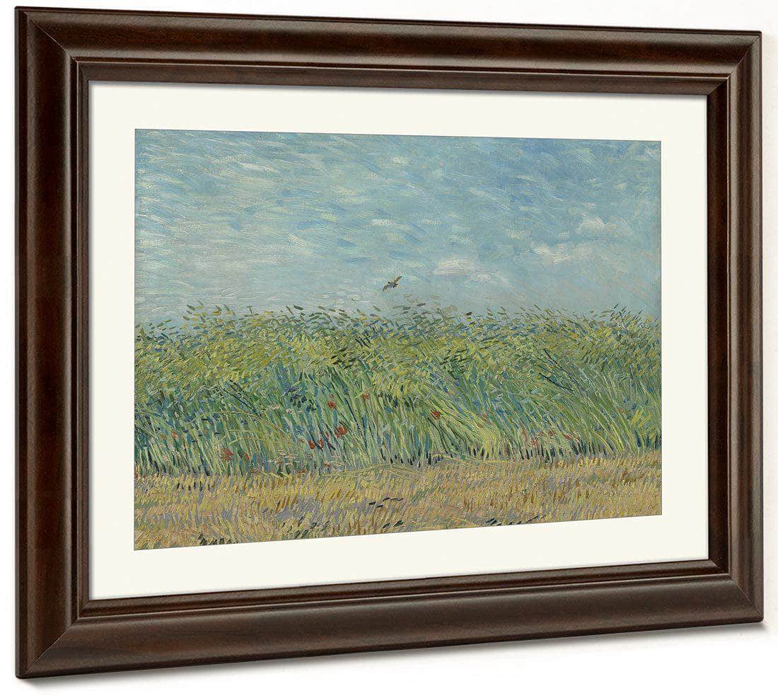 Wheatfield With Partridge 2 By Vincent Van Gogh Fine Art Print