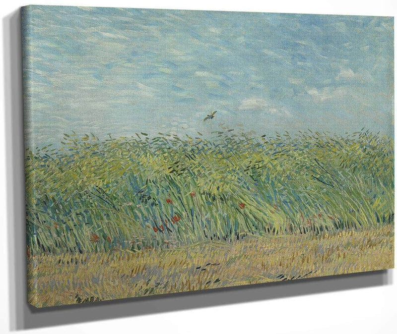 Wheatfield With Partridge 2 By Vincent Van Gogh Fine Art Print