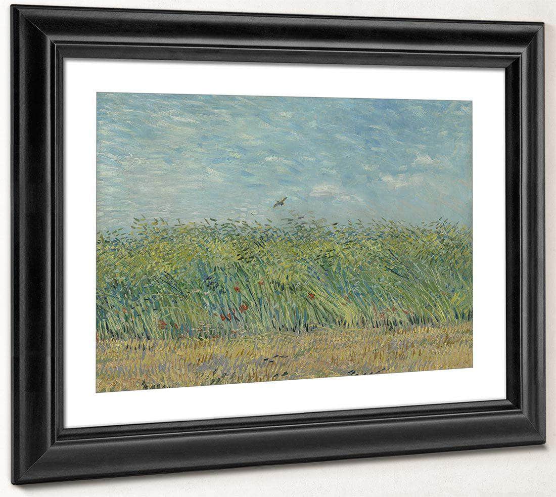 Wheatfield With Partridge By Vincent Van Gogh Fine Art Print