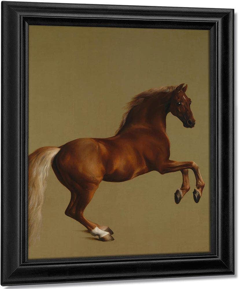 Whistlejacket By George Stubbs Fine Art Print