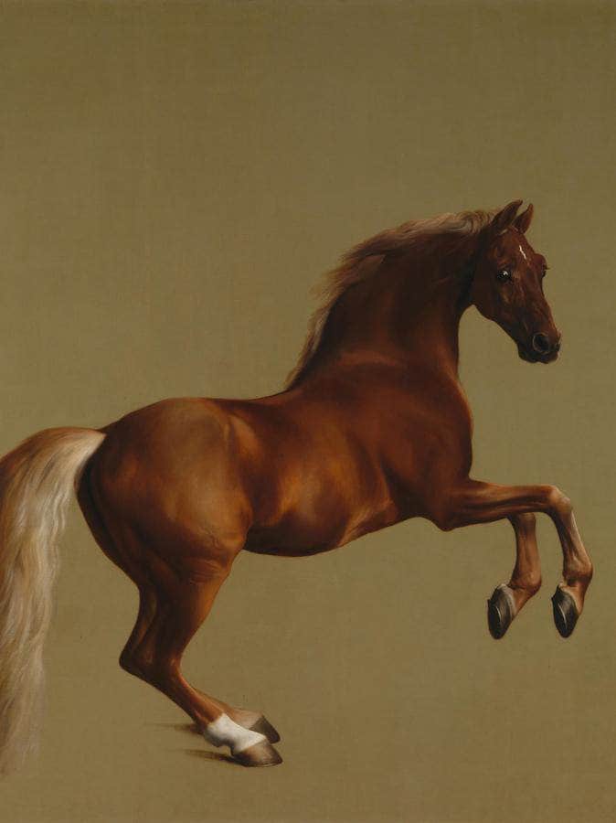 Whistlejacket By George Stubbs Fine Art Print