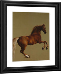Whistlejacket By George Stubbs Fine Art Print