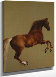 Whistlejacket By George Stubbs Fine Art Print