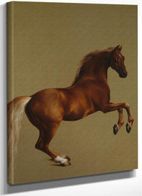 Whistlejacket By George Stubbs Fine Art Print