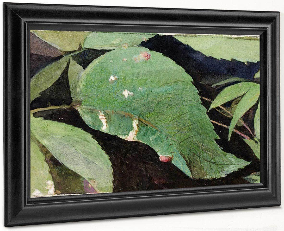 White Birch Leaf Edge Caterpillar, Study For Book Concealing Coloration In The Animal Kingdom 2 By Abbott Handerson Thayer Fine Art Print