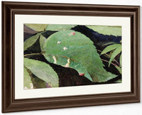 White Birch Leaf Edge Caterpillar, Study For Book Concealing Coloration In The Animal Kingdom 2 By Abbott Handerson Thayer Fine Art Print