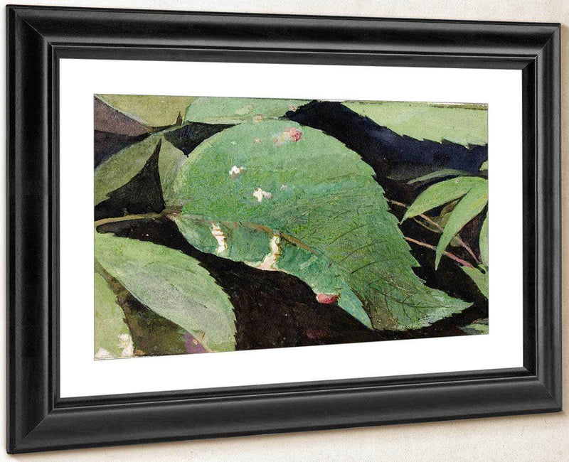 White Birch Leaf Edge Caterpillar, Study For Book Concealing Coloration In The Animal Kingdom 2 By Abbott Handerson Thayer Fine Art Print